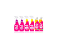 Bundle per principianti: vetri, WC, detergente multiuso